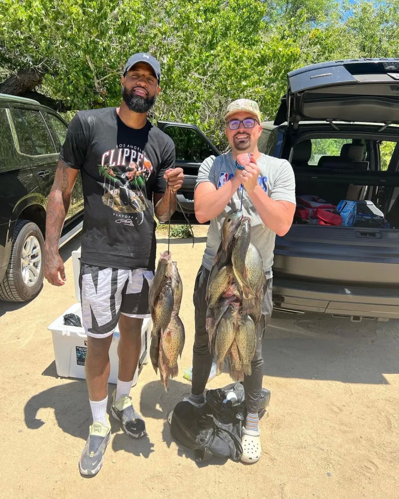 山队的支持 山队的支持