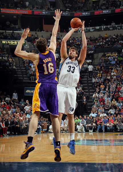 餐厅内特设 餐厅内特设